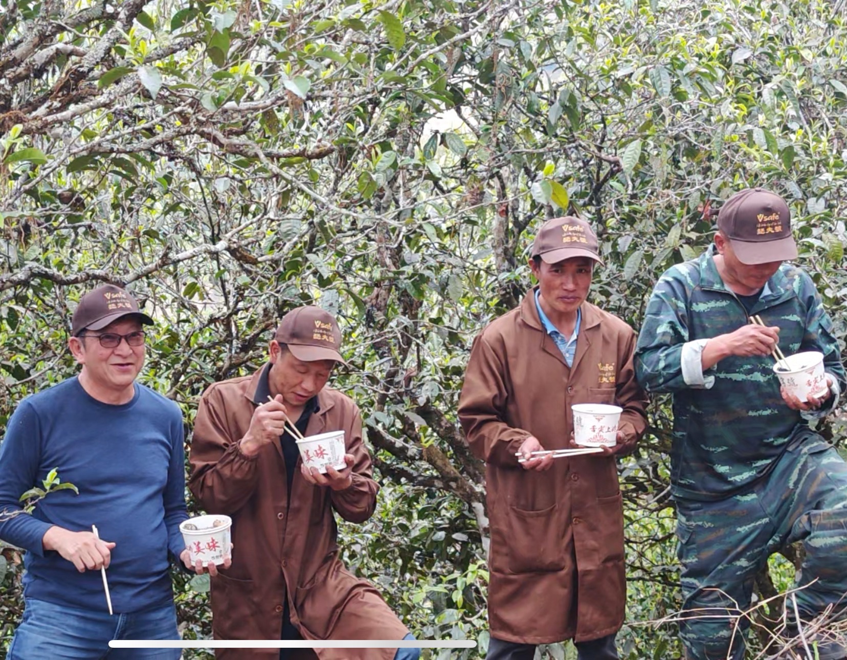 两千三百年古树茶开采日——多国华文媒体联合见证云南古树茶“瑟夫号”走向国际